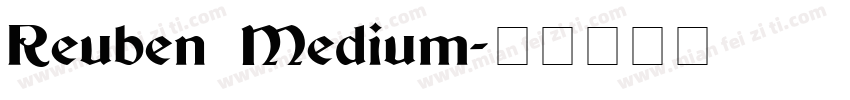 Reuben Medium字体转换